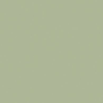 Вінілові шпалери на флізеліновій основі AS Creation New Life 37680-4, Салатовый, Німеччина