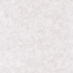 Виниловые обои на флизелиновой основе Caselio Beton 2 101489301 Серый Штукатурка, Серый, Франция