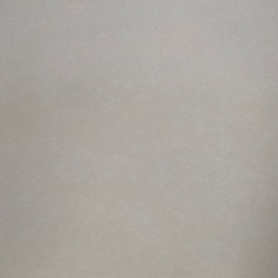 Вінілові шпалери на паперовій основі Limonta Gardena 55321 Бежевий Штукатурка