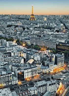 Фотообои на стену : город Париж, вид сверху №434