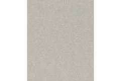 Виниловые обои на флизелиновой основе Rasch Composition 554489 Серый Однотон, Серый, Германия