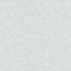 Вінілові шпалери на флізеліновій основі Erismann Fashion for Walls 4 12187-31 Білий Штукатурка