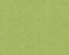 Виниловые обои на флизелиновой основе A.S. Creation Metropolitan Stories II 37865-8, Зеленый, Германия