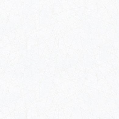 Вінілові шпалери на флізеліновій основі AS Creation Attico 39219-1 Сірий Під мармур, Сірий, Німеччина