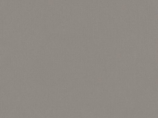 Вінілові шпалери на флізеліновій основі BN Cubiq 219216, Сірий, Нідерланди