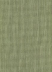 Виниловые обои на флизелиновой основе Erismann Paradisio 2 6309-36, Зеленый