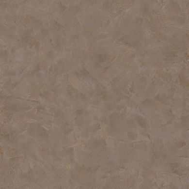 Вінілові шпалери на флізеліновій основі Caselio Patine 2 100222234 Коричневий Штукатурка, Франція