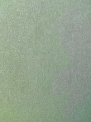Вінілові шпалери на флізеліновій основі Grandeco Opportunity Wallcoverings Q0038 Салатовий Однотон, Бельгія