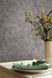 Вінілові шпалери на флізеліновій основі Caselio Patine 2 100229797 Сірий Штукатурка, Франція