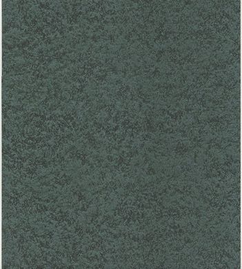 Вінілові шпалери на паперовій основі Emiliana Parati Forme 44951 Зеленый Штукатурка, Італія