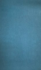 Вінілові шпалери на флізеліновій основі Grandeco Opportunity Wallcoverings Q0235 Синій Штукатурка