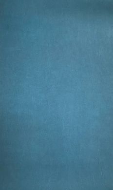 Виниловые обои на флизелиновой основе Grandeco Opportunity Wallcoverings Q0235 Синий Штукатурка