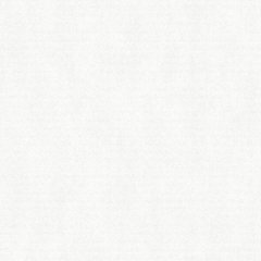 Вінілові шпалери на флізеліновій основі Ugepa Couleurs F79390, Белый, Франція