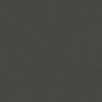 Вінілові шпалери на флізеліновій основі AS Creation New Life 3769-85, Черный, Німеччина