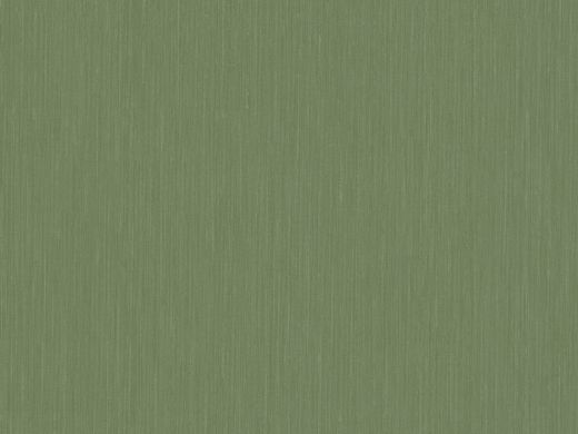 Вінілові шпалери на флізеліновій основі BN International Preloved 220420 Зелений Однотон, Нідерланди