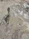 Виниловые обои на флизелиновой основе Decori&Decori Carrara 2 83627 Серый Штукатурка, Италия